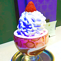 パープルダリヤ