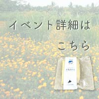 イベントページへのボタン